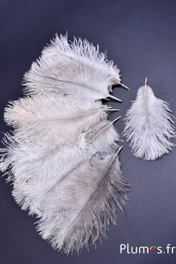 Struisvogel Bellies -8-13 cm - natuurlijk 